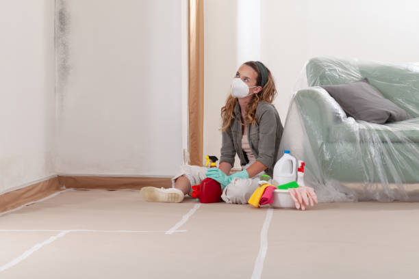 Reliable Mold Inspection And Testing contractor in Paulsboro, NJ by Car Mold Remediation